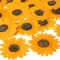 24 Pcs Dried Pressed Flowers for Resin Real Natural Sunflower Petals for Jewelry Candle Soap Making DIY Art Craft Scrapbooking Supplies(Yellow)
